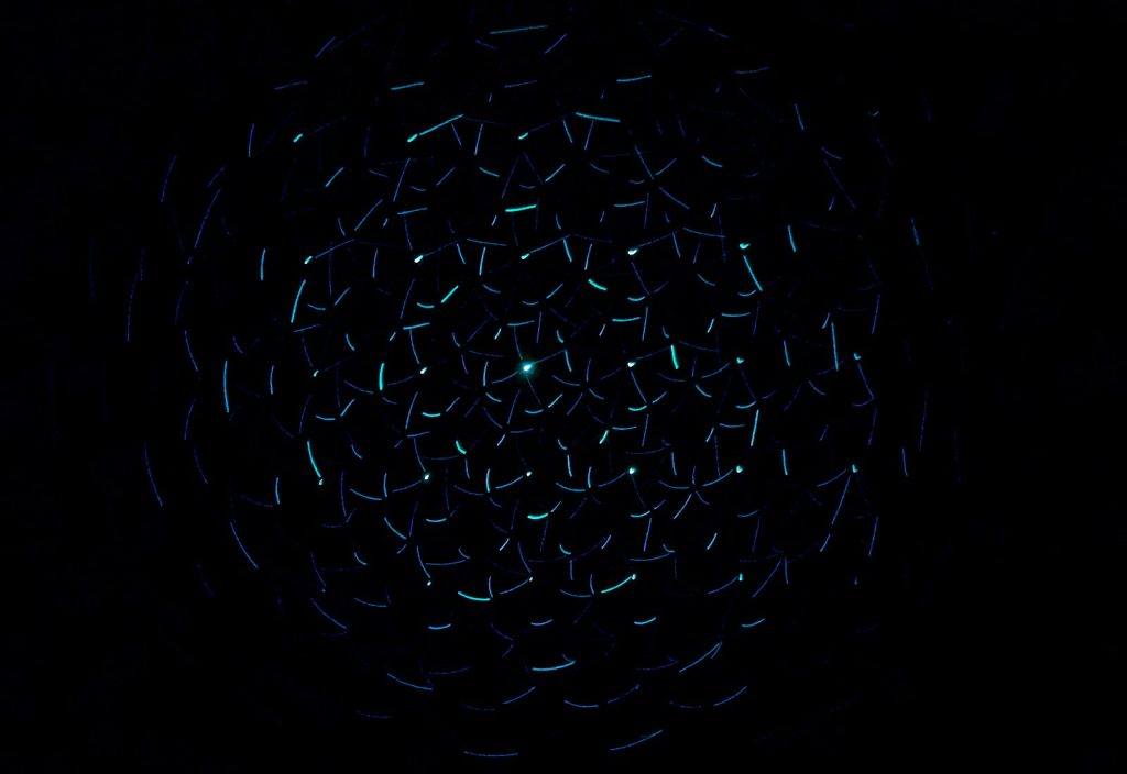 light decorations in dark area